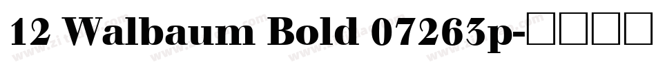 12 Walbaum Bold 07263p字体转换